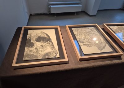 Zeichnungen von Johannes Weilandt